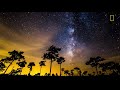 lapse