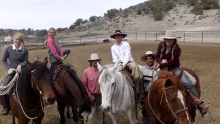 Branding Cows 2015 Warr Land & Livestock Grouse Creek Utah