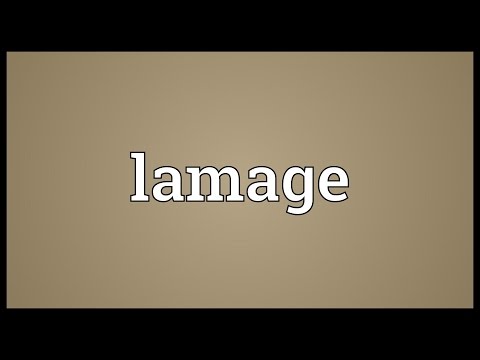 Header of lamage