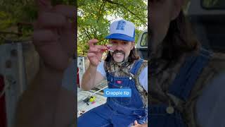 Best Bait To Catch Crappie