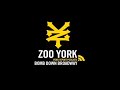 ZOO YORK BOMB DOWN BROADWAY VIDEO