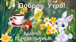 С Добрым Утром!Понедельник! Прекрасного Настроения!