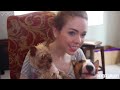 What To Do When You're Bored! + I'm Writing A Movie?!