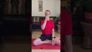 Day 2 of 7 Nadi Sodhana Pranayama Cleansing Breath 5min