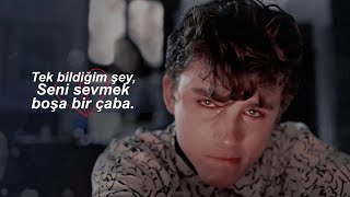 Duncan Laurence - Arcade Türkçe Çeviri