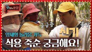 양세형, 거제 ‘식용 죽순’에 궁금증 폭발!ㅣ맛남의 광장(A Palatial Residence)ㅣSBS ENTER.
