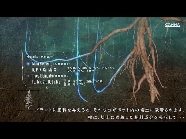 Watch (日本/Japanese) CANNA Terra Vega 〜テラ・ヴェガ〜 on YouTube.