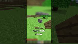 Minecraft Versions Infdev 20100629