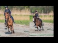 PTV TREC Heiloo 2017