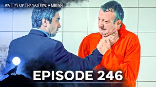 Valley Of The Wolves Ambush Episode 246 Full Hd