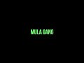 Mula Gang - Chosen Ones (Acapella Lyrics Snippet)
