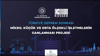 Türkiye Deprem Sonrası Mikro, Küçük ve Orta Ölçekli İşletmelerin Canlanması Dest