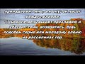 Тихое время с Живой Жизнью: Песни песней 2:4–17 (24112017) Тихое время с Живой Жизнью: Песни песней 2:4–17 (24112017)