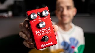 GAMMA Bacchus Dynamic Driver Effects Pedal | Demo and Features with Nicholas Veinoglou