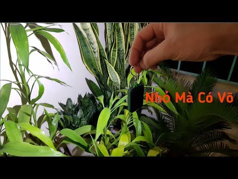 Video Thực Tế Móc Khóa Đèn LED