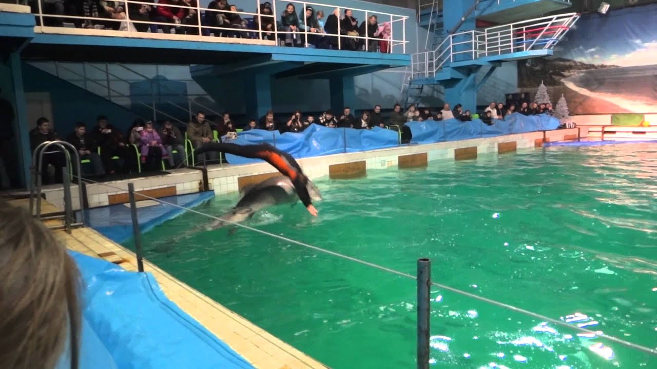 Схема зала дельфинария на крестовском острове6 Схема зала дельфинария на крестовском острове6