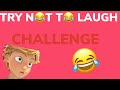 Try Not To Laugh  Challenge- Miraculous Ladybug Edition