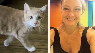 Hero Kitten Named Thor Saves Familys Lives