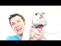 Tobuscus