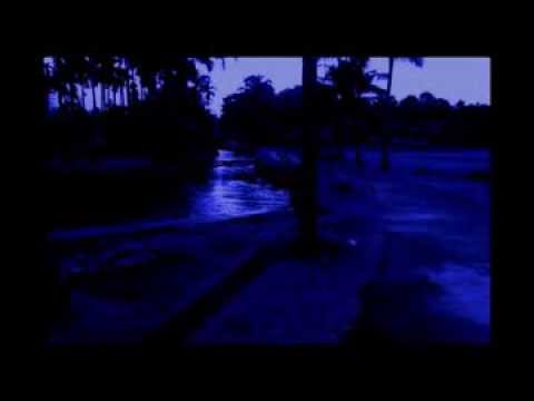 Dr.M.S.Sreekumar music-Pathinju Veesunna-32.8mb