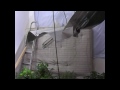 Plymouth police find 100 cannabis plants in a Prince Rock bedroom
