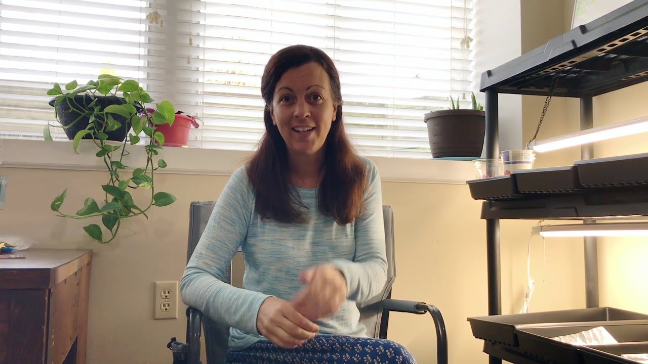 All Videos