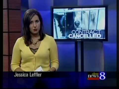 KLFY TV CHANNEL 10 klfy tv channel 10: