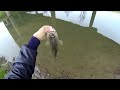 Houston Bass Fishing (39 Degrees) Bayou Bass 720p HD