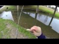 Houston Bass Fishing (39 Degrees) Bayou Bass 720p HD