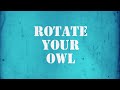 owl