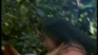 Xena - Hard To Say Im Sorry