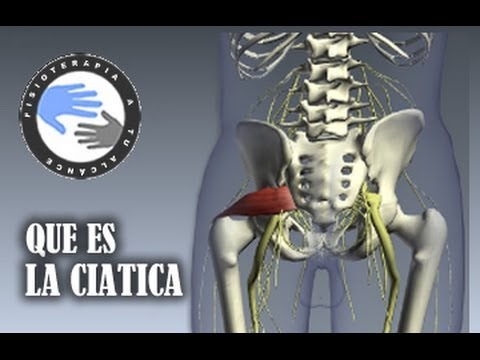 El dolor en el campo de la espalda después de la recepción de la comida