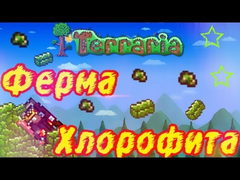 Как сделать хлорофитовую ферму Как сделать хлорофитовую ферму