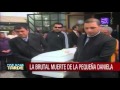 Niña de 4 años es violada y asesinada en Talca