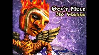 Watch Govt Mule Ill Be The One video