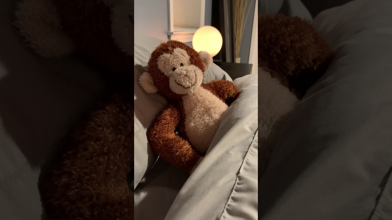 Monkey and Ryan