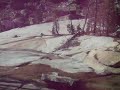 Yosemite - Lewis Creek - Between Bernice Lake and Merced Lake