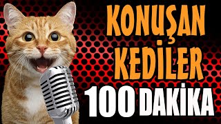 Konuşan Kediler 100 Dakika - Sinema Tadında En Komik Kedi ları