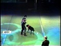 Daniel and Tango the dancing dog first Canine musical freestyle performance in Dec.1999