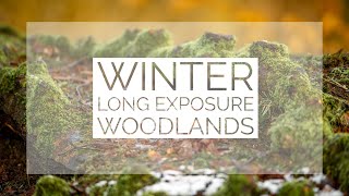 Winter Long Exposure Woodlands