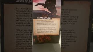 Si̇vas Savaş Atlari Müzesi̇ Part 1