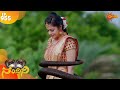 Nandini - Episode 955 | 1 July 2020 | Udaya TV Serial | Kannada Serial