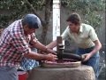 Szilvalekvár főzés szatmár-beregi hagyománya