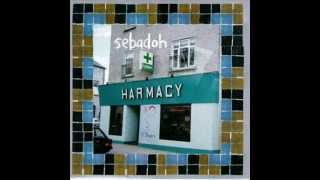 Watch Sebadoh Love To Fight video
