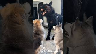 Unbelievable Transformation From Tiny To Terrifying