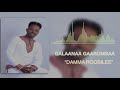 Galaanaa Gaaromsaa: Damma Roobilee NEW 2019 Oromo Music