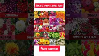 Flower Seeds From Amazon