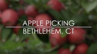 Apple Picking - March Farm, Bethlehem, CT