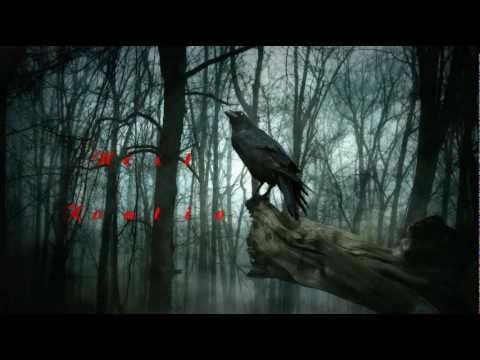 Nest Trail Of The Unwary Nest Trail Of The Unwary