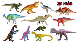 Dinosaur Species Collection - Triic, Juric & Cretaceous - The Kids Picture Show